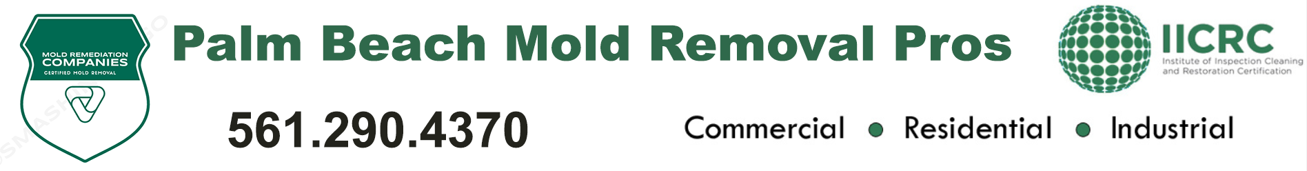 Palm Beach Mold Removal Pros