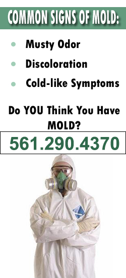 Palm Beach Mold Remediation Contractor